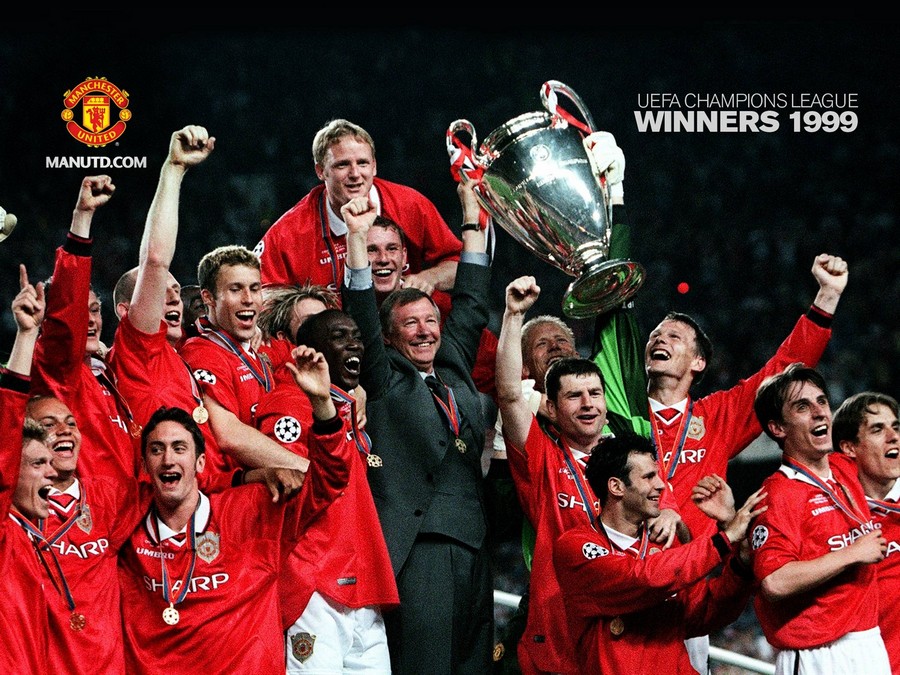 突出的组织 突出的组织